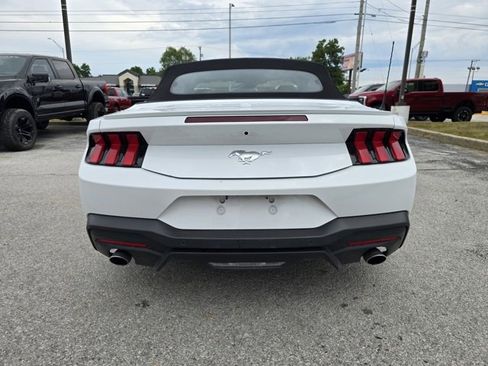 Used 2024 Ford Mustang Premium image 4