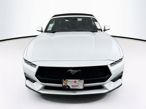 Used 2025 Ford Mustang Premium RWD image 8