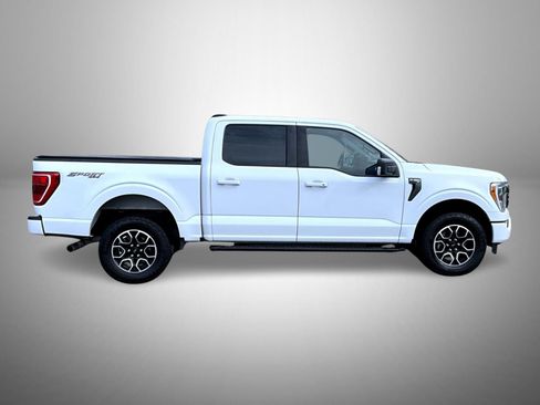 Used 2021 Ford F150 XLT w/ Equipment Group 302A High AWD/4WD image 4