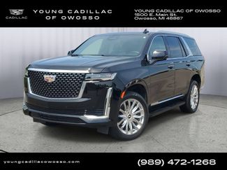 Used 2024 Cadillac Escalade Premium Luxury AWD/4WD 360° Tour