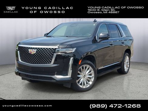 Used 2024 Cadillac Escalade Premium Luxury AWD/4WD image 1