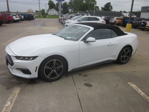 Used 2024 Ford Mustang Premium RWD image 12