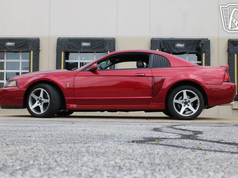 Used 2003 Ford Mustang Cobra RWD image 6