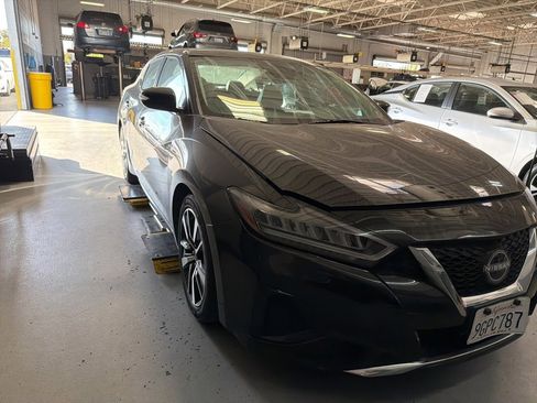 Used 2023 Nissan Maxima SV w/ Floor Mat Group image 3