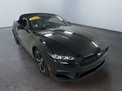 Used 2024 Ford Mustang Premium