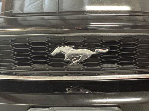 Used 2013 Ford Mustang Coupe RWD image 42
