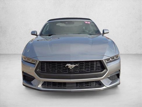 Used 2025 Ford Mustang Premium image 2