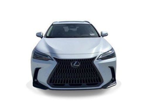 Certified 2024 Lexus NX 250 FWD image 3