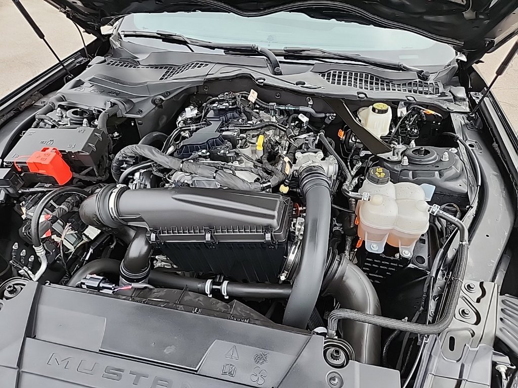 Used 2024 Ford Mustang Premium RWD image 12