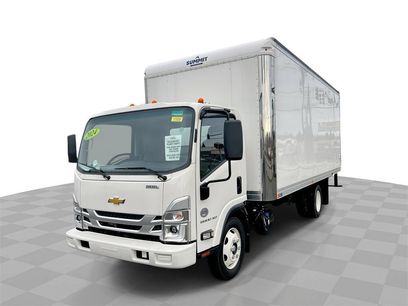 New 2024 Chevrolet Low Cab Forward 5500XD