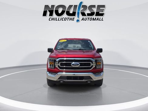 Used 2021 Ford F150 XLT w/ Equipment Group 302A High AWD/4WD image 3