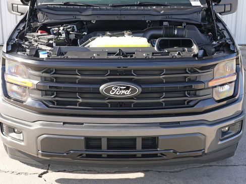 Used 2025 Ford F150 XLT w/ Equipment Group 301A Standard image 8