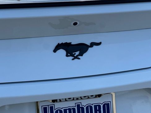 New 2026 Ford Mustang Coupe w/ Mustang Nite Pony Package RWD image 25