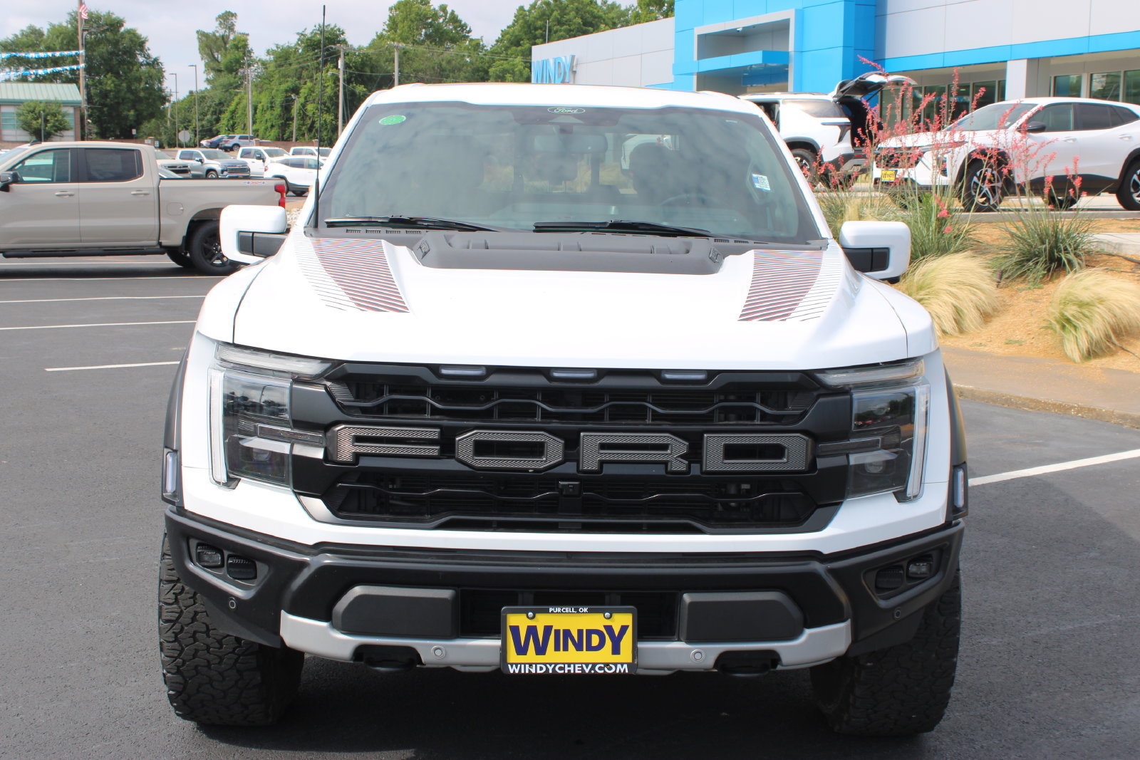 Used 2025 Ford F150 Raptor AWD/4WD image 3