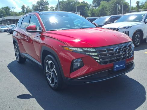Used 2023 Hyundai Tucson Limited AWD/4WD image 3
