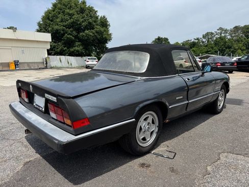 Used 1986 Alfa Romeo Spider Veloce image 5