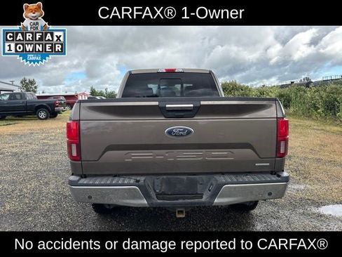 Used 2019 Ford F150 XLT w/ Equipment Group 302A Luxury AWD/4WD image 5