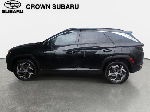 Used 2024 Hyundai Tucson Limited AWD/4WD image 2
