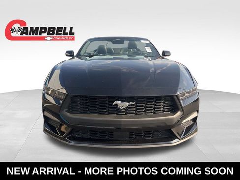 Used 2025 Ford Mustang Premium RWD image 9