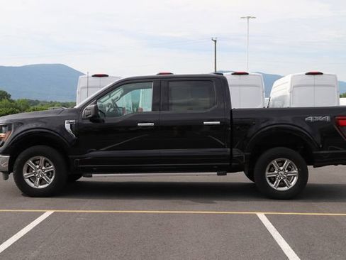 Used 2025 Ford F150 XLT w/ Equipment Group 301A Standard AWD/4WD image 5