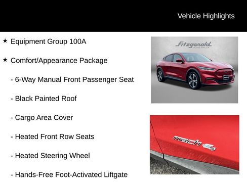 Used 2021 Ford Mustang Mach-E Select w/ Comfort/Appearance Package image 9