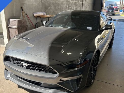 Used 2019 Ford Mustang Coupe w/ Ecoboost Performance Package image 1