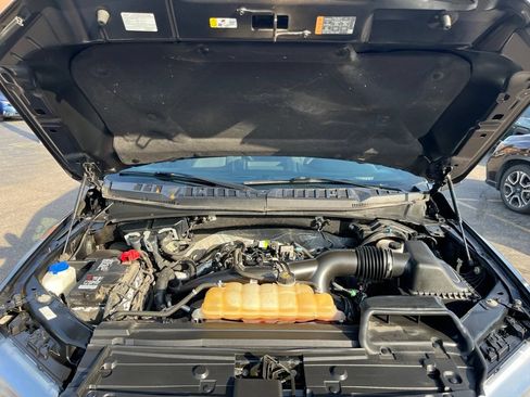 Used 2019 Ford F150 XLT w/ Equipment Group 302A Luxury AWD/4WD image 28