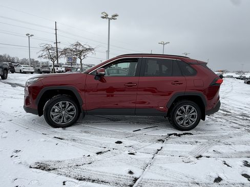 Certified 2025 Toyota RAV4 XLE Premium image 5