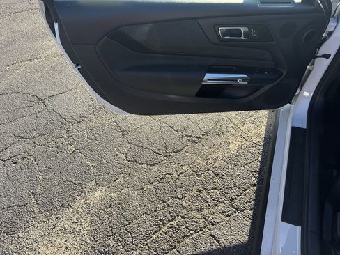 New 2026 Ford Mustang Coupe w/ Mustang Nite Pony Package image 10