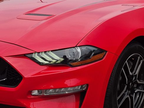 Certified 2019 Ford Mustang GT Premium w/ Ford Safe & Smart Package RWD image 3