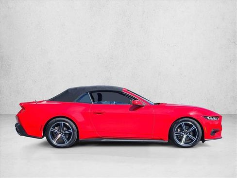 Used 2024 Ford Mustang Convertible image 4