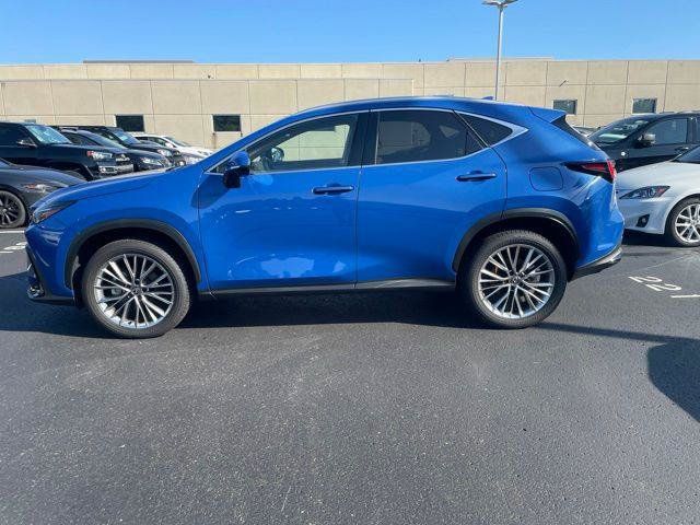 Certified 2025 Lexus NX 350h AWD w/ Cold Area Package image 3