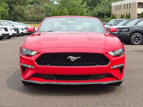 Certified 2019 Ford Mustang GT Premium w/ Ford Safe & Smart Package RWD image 6