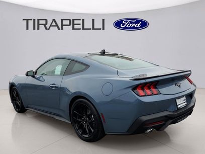 New 2026 Ford Mustang Coupe w/ Mustang Nite Pony Package