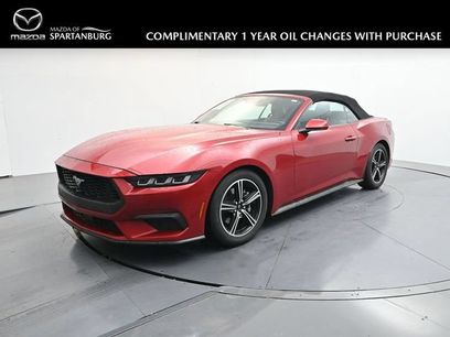 Used 2024 Ford Mustang Premium