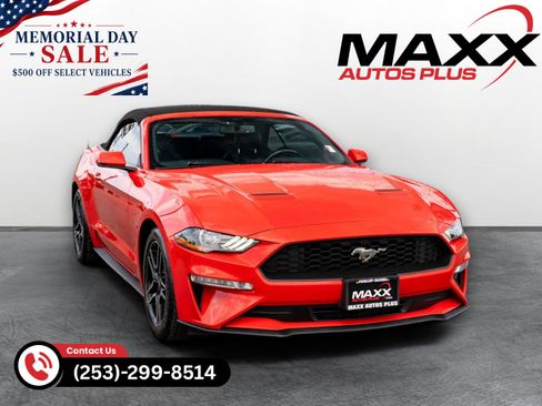 Used 2019 Ford Mustang Premium RWD image 1