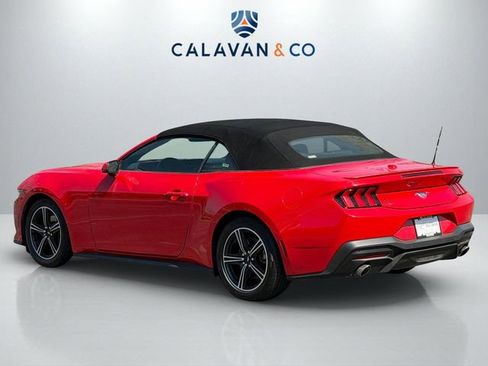 Used 2024 Ford Mustang Premium image 5