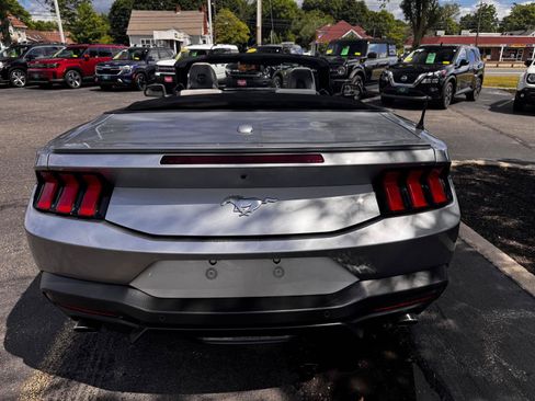 Used 2024 Ford Mustang Premium RWD image 4
