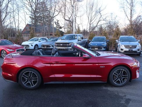 Used 2019 Ford Mustang GT Premium image 4