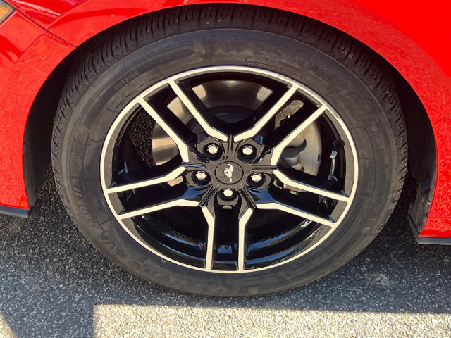 Used 2020 Ford Mustang Premium RWD image 14