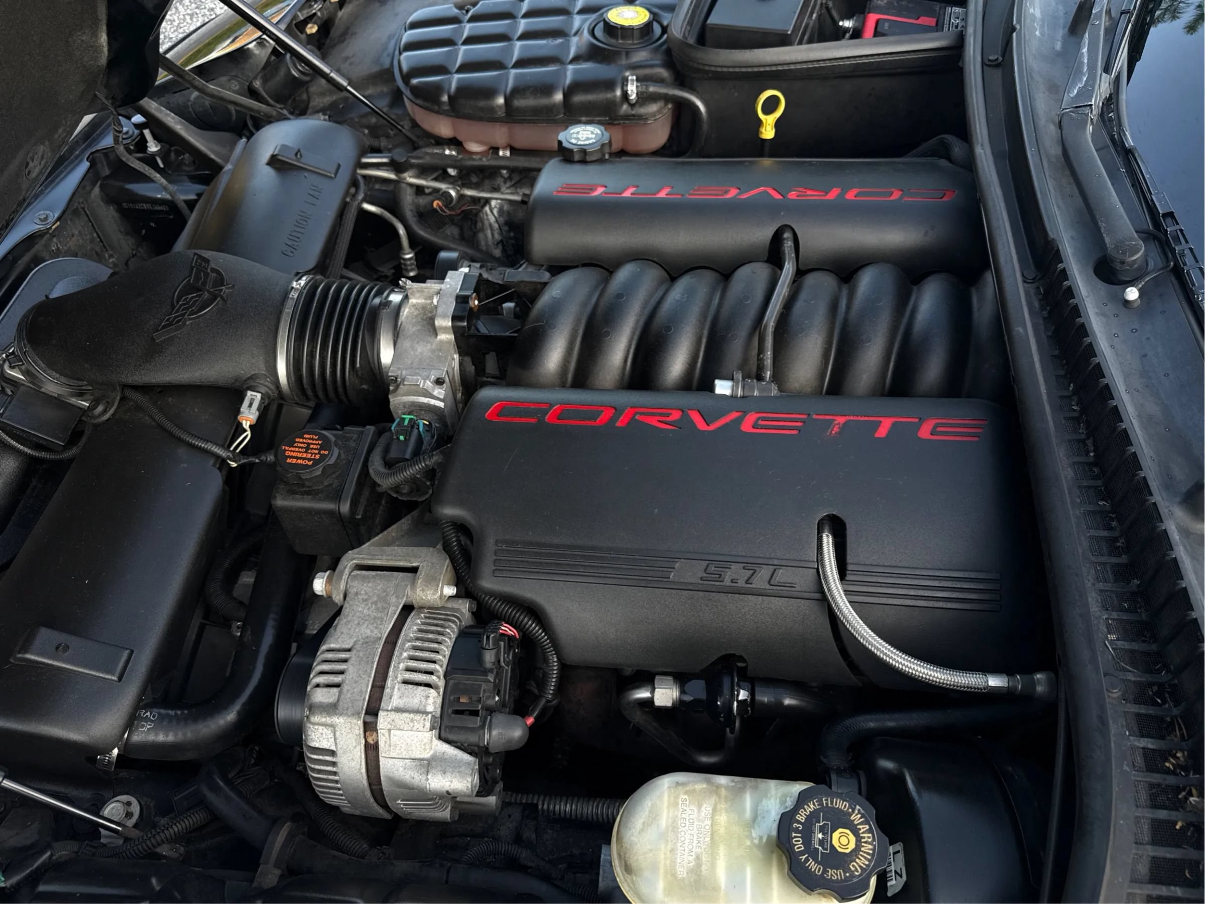 Used 1999 Chevrolet Corvette Convertible w/ Performance Handling Pkg RWD image 9