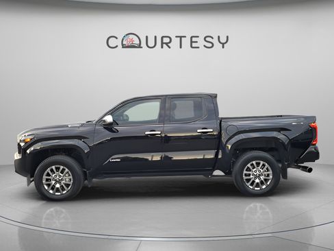 Used 2025 Toyota Tacoma Limited image 2