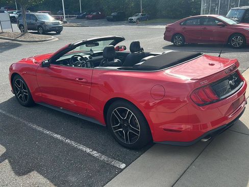 Used 2019 Ford Mustang Premium RWD image 11