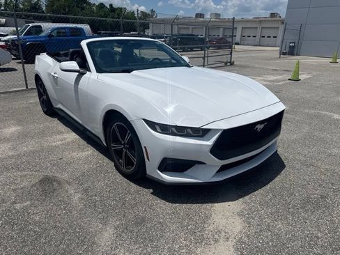 Used 2025 Ford Mustang Premium RWD image 4