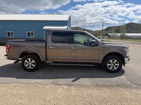 Used 2019 Ford F150 XLT w/ Equipment Group 302A Luxury AWD/4WD image 5