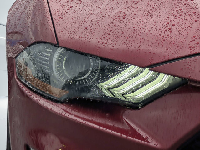 Used 2019 Ford Mustang GT RWD image 9