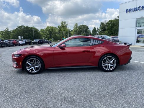 Used 2024 Ford Mustang Premium RWD image 4