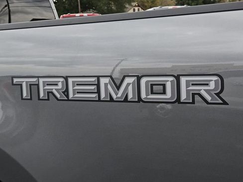 New 2025 Ford F250 Platinum w/ Tremor Off-Road Package image 10