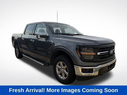 Used 2025 Ford F150 XLT w/ Equipment Group 302A MID