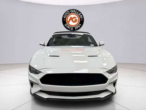 Used 2022 Ford Mustang Premium image 2